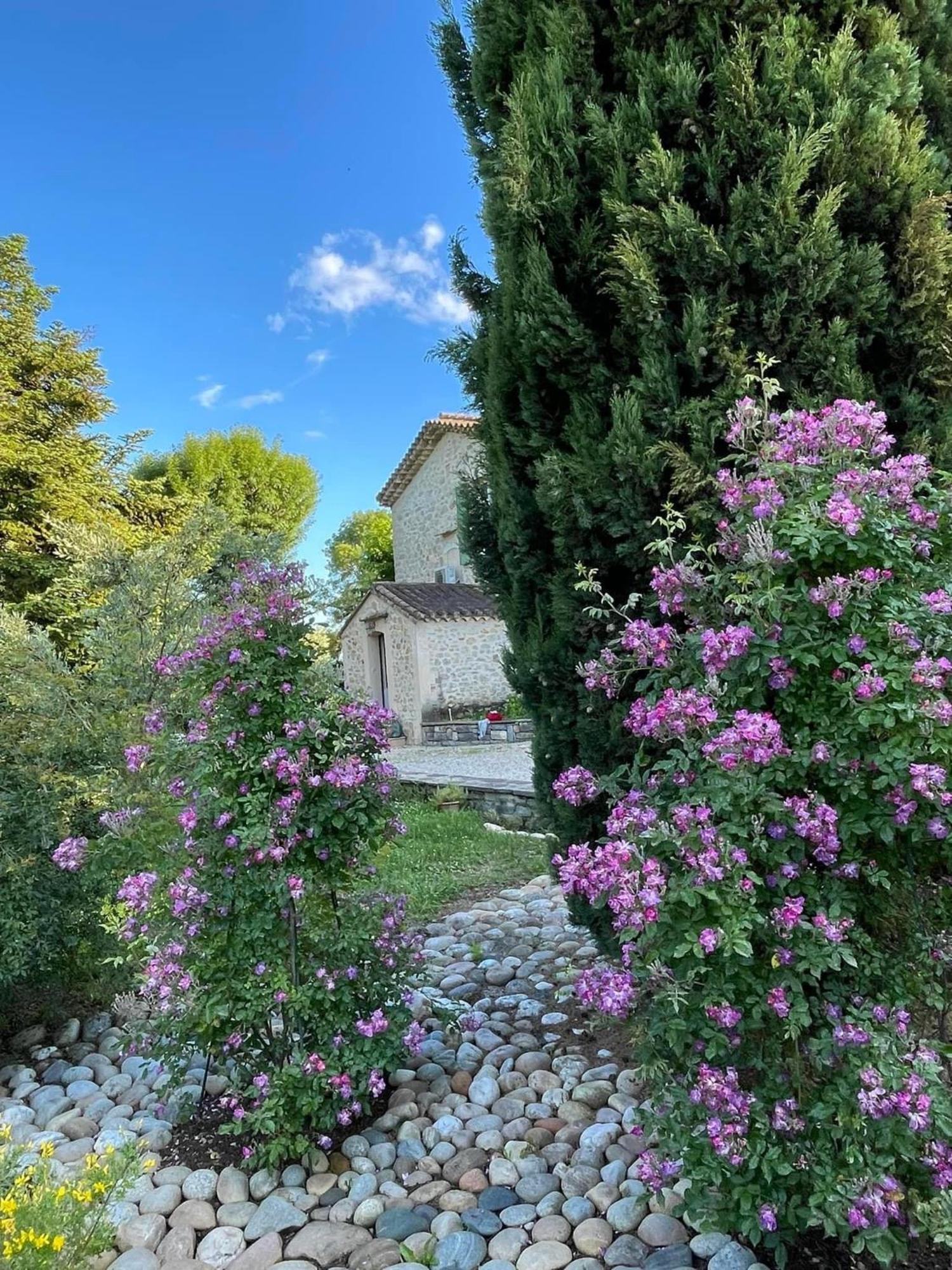 Mas D'Olive Et Kalou Bed & Breakfast Sauve Exterior photo